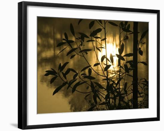 Sunrise Reflected in Pond, Callaway Gardens, Georgia, USA-Nancy Rotenberg-Framed Photographic Print