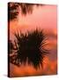 Sunrise Reflection in Swampy Wilderness, Wakodahatchee Preserve, Florida, USA-Jerry Ginsberg-Stretched Canvas