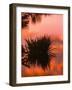 Sunrise Reflection in Swampy Wilderness, Wakodahatchee Preserve, Florida, USA-Jerry Ginsberg-Framed Photographic Print