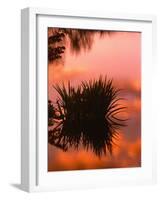 Sunrise Reflection in Swampy Wilderness, Wakodahatchee Preserve, Florida, USA-Jerry Ginsberg-Framed Photographic Print