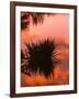 Sunrise Reflection in Swampy Wilderness, Wakodahatchee Preserve, Florida, USA-Jerry Ginsberg-Framed Photographic Print