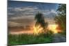 Sunrise Road-Robert Goldwitz-Mounted Photographic Print