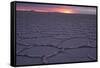 Sunrise, Salar de Uyuni, Uyuni, Bolivia-Anthony Asael-Framed Stretched Canvas