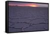 Sunrise, Salar de Uyuni, Uyuni, Bolivia-Anthony Asael-Framed Stretched Canvas