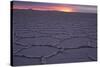 Sunrise, Salar de Uyuni, Uyuni, Bolivia-Anthony Asael-Stretched Canvas