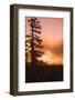 Sunrise scenic views near Timberline lodge, Lolo Pass, Mt. Hood Wilderness Area, Oregon, USA-Stuart Westmorland-Framed Photographic Print