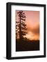 Sunrise scenic views near Timberline lodge, Lolo Pass, Mt. Hood Wilderness Area, Oregon, USA-Stuart Westmorland-Framed Photographic Print
