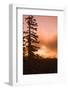 Sunrise scenic views near Timberline lodge, Lolo Pass, Mt. Hood Wilderness Area, Oregon, USA-Stuart Westmorland-Framed Photographic Print