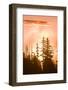 Sunrise scenic views near Timberline Lodge, Lolo Pass, Mt. Hood Wilderness Area, Oregon, USA-Stuart Westmorland-Framed Photographic Print