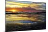 Sunrise Secrets-Incredi-Mounted Giclee Print