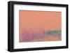 Sunrise Serenade-Jacob Berghoef-Framed Photographic Print