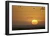 Sunrise, Serengeti National Park, Tanzania, East Africa, Africa-James Hager-Framed Photographic Print