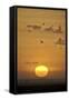 Sunrise, Serengeti National Park, Tanzania, East Africa, Africa-James Hager-Framed Stretched Canvas