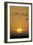 Sunrise, Serengeti National Park, Tanzania, East Africa, Africa-James Hager-Framed Photographic Print