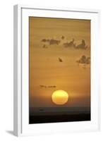 Sunrise, Serengeti National Park, Tanzania, East Africa, Africa-James Hager-Framed Photographic Print