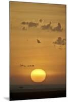 Sunrise, Serengeti National Park, Tanzania, East Africa, Africa-James Hager-Mounted Photographic Print