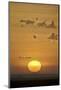 Sunrise, Serengeti National Park, Tanzania, East Africa, Africa-James Hager-Mounted Photographic Print