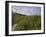 Sunrise Skies over Nubble Aka Cape Neddick Lighthouse in York, Maine, Usa-Chuck Haney-Framed Photographic Print