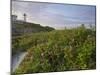 Sunrise Skies over Nubble Aka Cape Neddick Lighthouse in York, Maine, Usa-Chuck Haney-Mounted Photographic Print