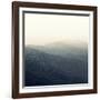 Sunrise, Smoky Mountains-Nicholas Bell-Framed Photographic Print