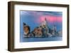 Sunrise Storm Mono Lake, Eastern Sierras, California-Vincent James-Framed Photographic Print