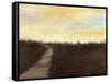 Sunrise Stroll II-Jennifer Goldberger-Framed Stretched Canvas