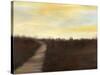 Sunrise Stroll II-Jennifer Goldberger-Stretched Canvas