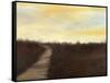 Sunrise Stroll II-Jennifer Goldberger-Framed Stretched Canvas