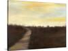 Sunrise Stroll II-Jennifer Goldberger-Stretched Canvas