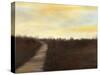 Sunrise Stroll II-Jennifer Goldberger-Stretched Canvas