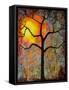 Sunrise Sunset Tree-Blenda Tyvoll-Framed Stretched Canvas