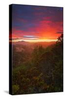 Sunrise Surprise, Divine Color Over Mount Diablo, Oakland, Bay Area-Vincent James-Stretched Canvas