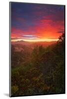 Sunrise Surprise, Divine Color Over Mount Diablo, Oakland, Bay Area-Vincent James-Mounted Photographic Print