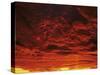 Sunrise, Swabian Alb, Baden Wurttemberg, Germany, Europe-Markus Lange-Stretched Canvas