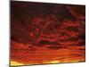 Sunrise, Swabian Alb, Baden Wurttemberg, Germany, Europe-Markus Lange-Mounted Photographic Print