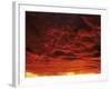 Sunrise, Swabian Alb, Baden Wurttemberg, Germany, Europe-Markus Lange-Framed Photographic Print