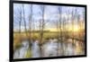 Sunrise Swamp-Kim Curinga-Framed Photographic Print