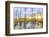 Sunrise Swamp-Kim Curinga-Framed Photographic Print