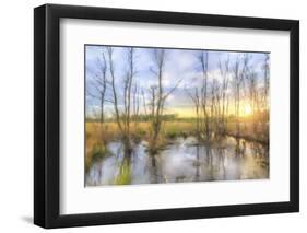 Sunrise Swamp-Kim Curinga-Framed Photographic Print