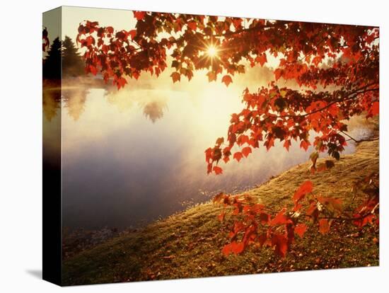 Sunrise Through Autumn Leaves-Joseph Sohm-Stretched Canvas