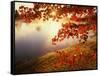 Sunrise Through Autumn Leaves-Joseph Sohm-Framed Stretched Canvas