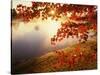 Sunrise Through Autumn Leaves-Joseph Sohm-Stretched Canvas