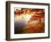Sunrise Through Autumn Leaves-Joseph Sohm-Framed Premium Photographic Print