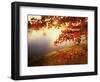 Sunrise Through Autumn Leaves-Joseph Sohm-Framed Premium Photographic Print