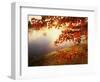 Sunrise Through Autumn Leaves-Joseph Sohm-Framed Premium Photographic Print