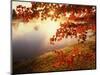 Sunrise Through Autumn Leaves-Joseph Sohm-Mounted Premium Photographic Print