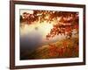 Sunrise Through Autumn Leaves-Joseph Sohm-Framed Photographic Print