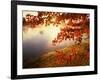 Sunrise Through Autumn Leaves-Joseph Sohm-Framed Photographic Print