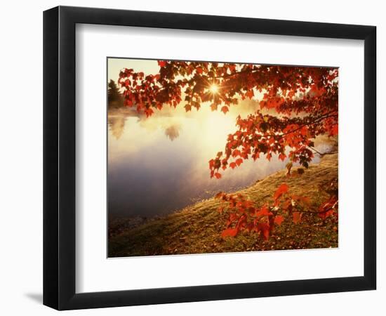 Sunrise Through Autumn Leaves-Joseph Sohm-Framed Photographic Print