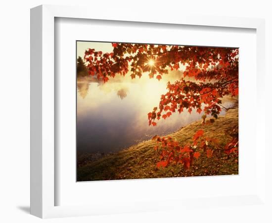 Sunrise Through Autumn Leaves-Joseph Sohm-Framed Photographic Print